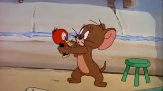Tom And Jerry Hatch Up Your Troubles 1949 Tom And Jerry Lovers