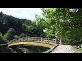 島津悦子【紅ひと夜】カラオケ