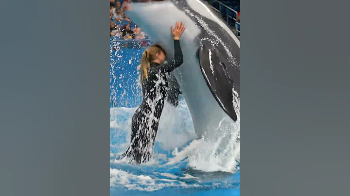 Shocking Dolphin Attack Jessica (Simulation) at Aquatic Show – Unreal 6 Second Clip!