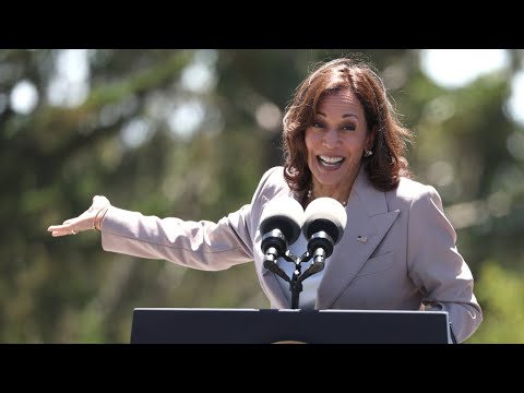 ‘Communities of colour’ prioritised by Kamala Harris for hurricane relief