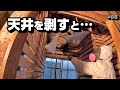 天井を剥がして、被害の範囲を確認します【空き家再生＃66】