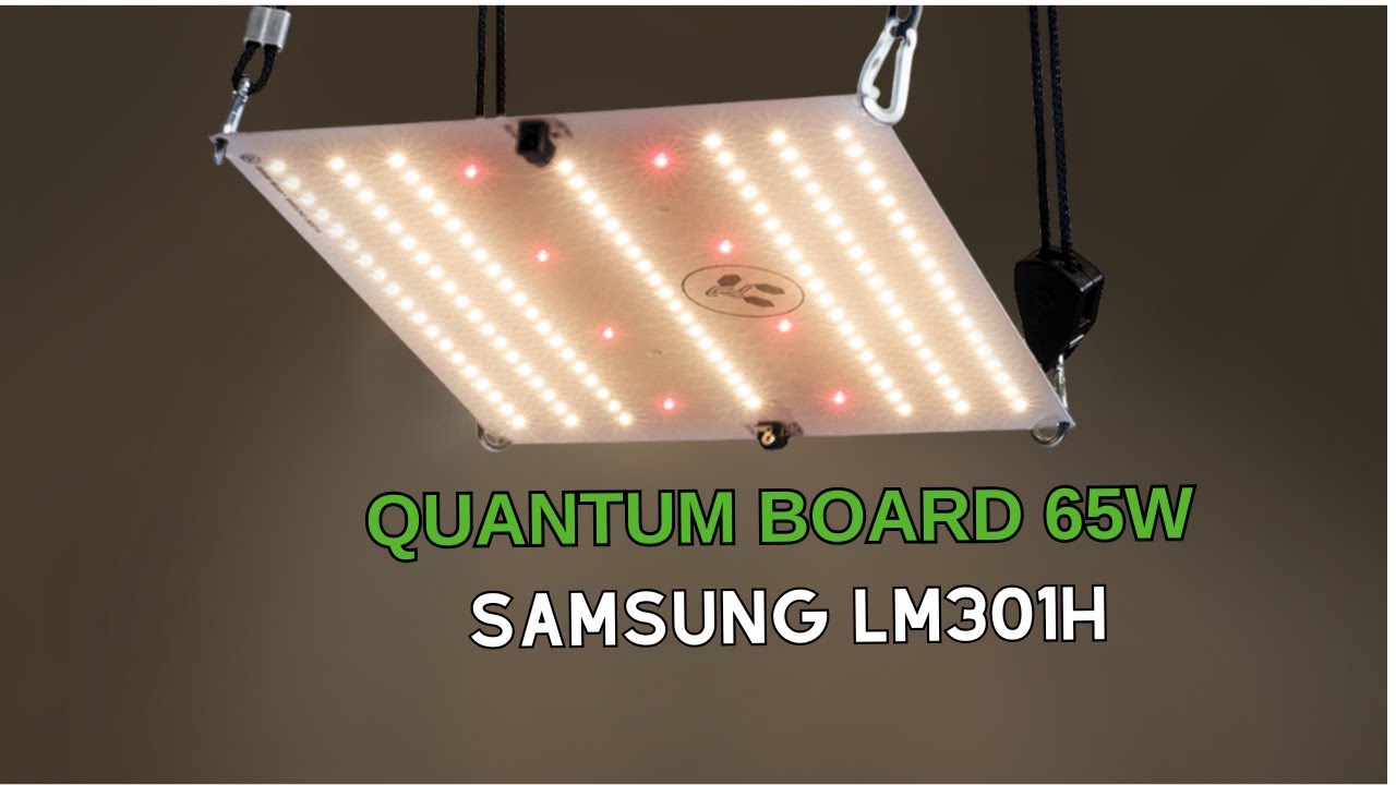 Unboxing Painel de LED Quantum Board 65W LM301H