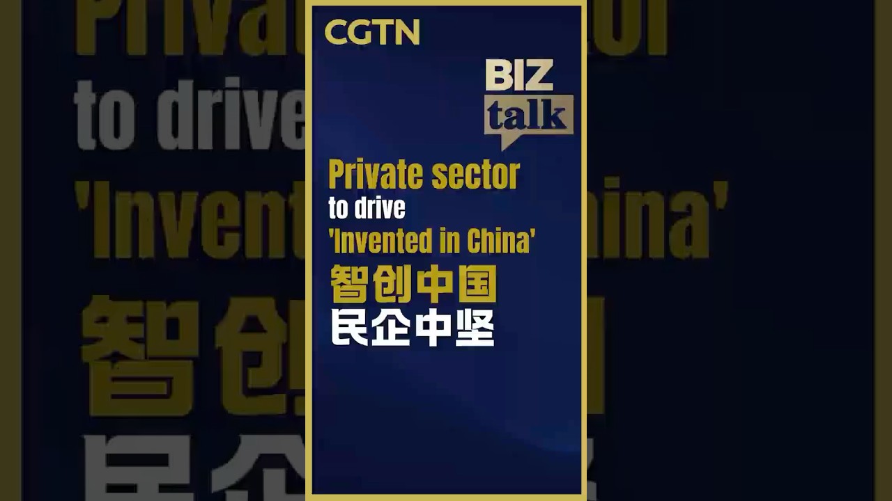 China's Private Sector Innovation and Economic Outlook