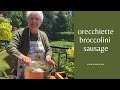 30 Minute Pasta: Orecchiette, Broccolini &amp; Sausage, Learn How  (e88)