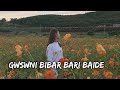 Gwswni bibar bari bari new Bodo song|| lofi || new Bodo song Mp3 Song