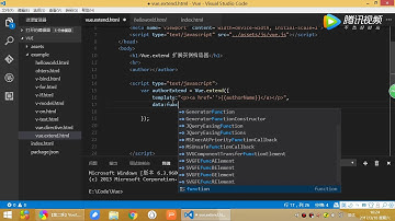 技术胖Vue2 0基础视频10extend扩展实例构造器
