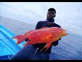 Jigging Tropical Reef Fish In Mauritius Episode 1 [GT,GROUPER,BLUEFIN TREVALLY ETC]