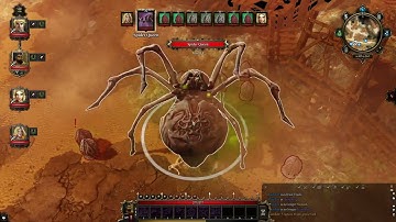 Divinity Original Sin Enhanced Edition | Co-Op | Part 17