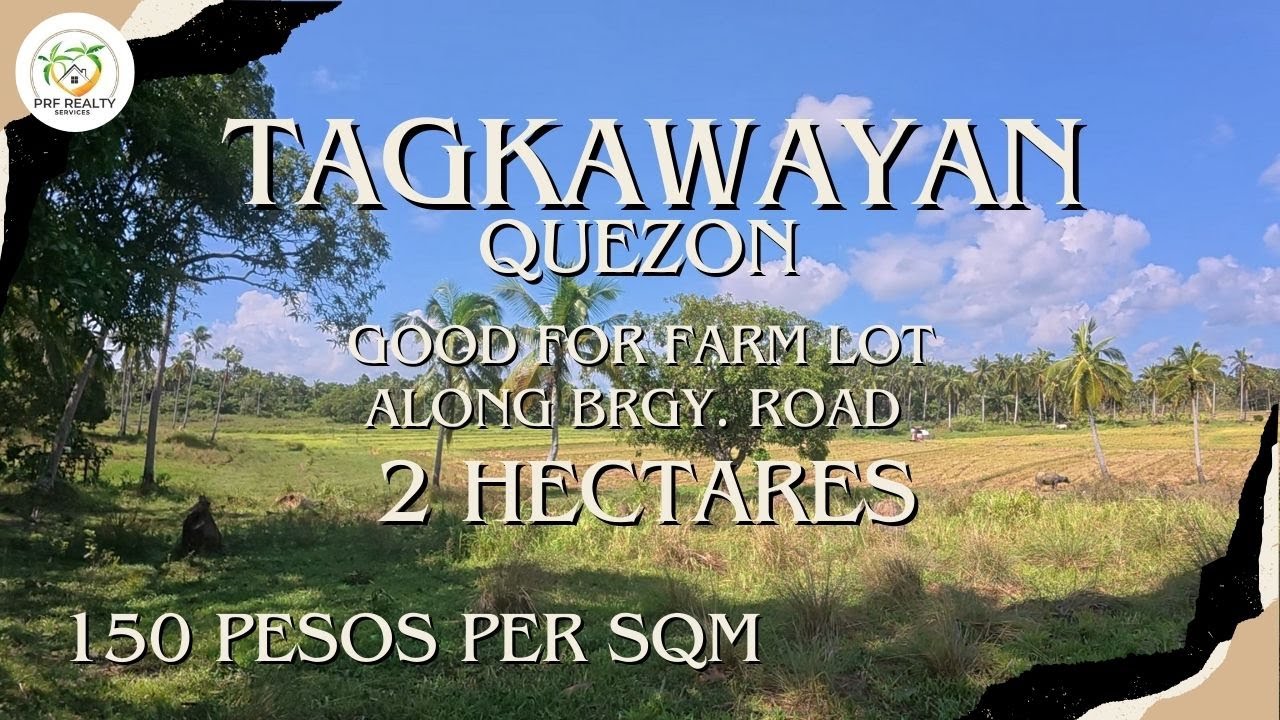 A415 - Property of Tagkawayan | 2 Hectares | Along Brgy. Road | Good for Investment