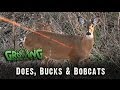 Bow Hunting In The Late Season: 2 Doe Kills Mean Venison For The Freezer! (#216) @GrowingDeer.tv