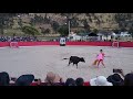 Gran corrida de toro en tantara castrovirreyna1