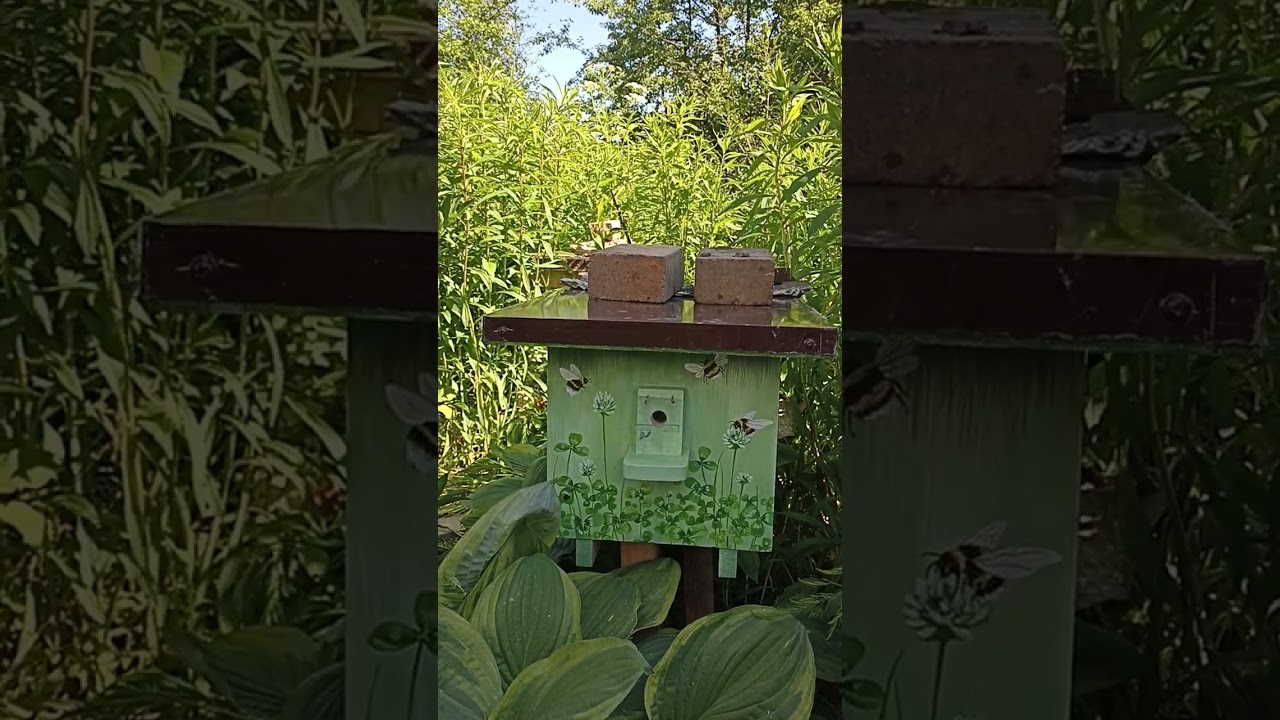 12 июня 2023 г.