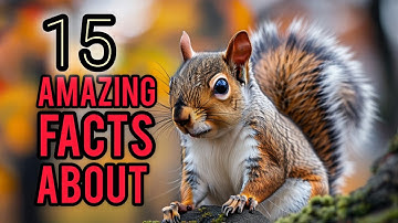 15 Interesting and Strange Facts About Squirrels You Might Not Know