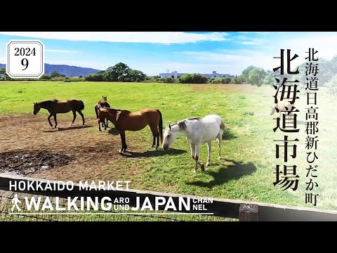 【4K/北海道散歩】北海道日高郡新ひだか町北海道市場周辺を街歩き Walking around Hokkaido market,Hokkaido,Japan,2024