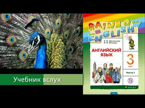 Rainbow English 3-1, Unit 1 Step 2, Английский язык 3 класс ч.1, Афанасьева, Михеева.