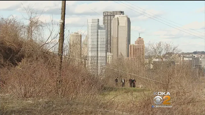 Skeletal Remains Found In Mt. Washington
