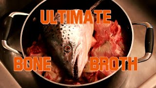 How to Make the Ultimate Homemade Bone Broth for Your Dog or Cat by The Toronto Dog Whisperer AKA - Dog Nerd 36,556 views 4 years ago 16 minutes