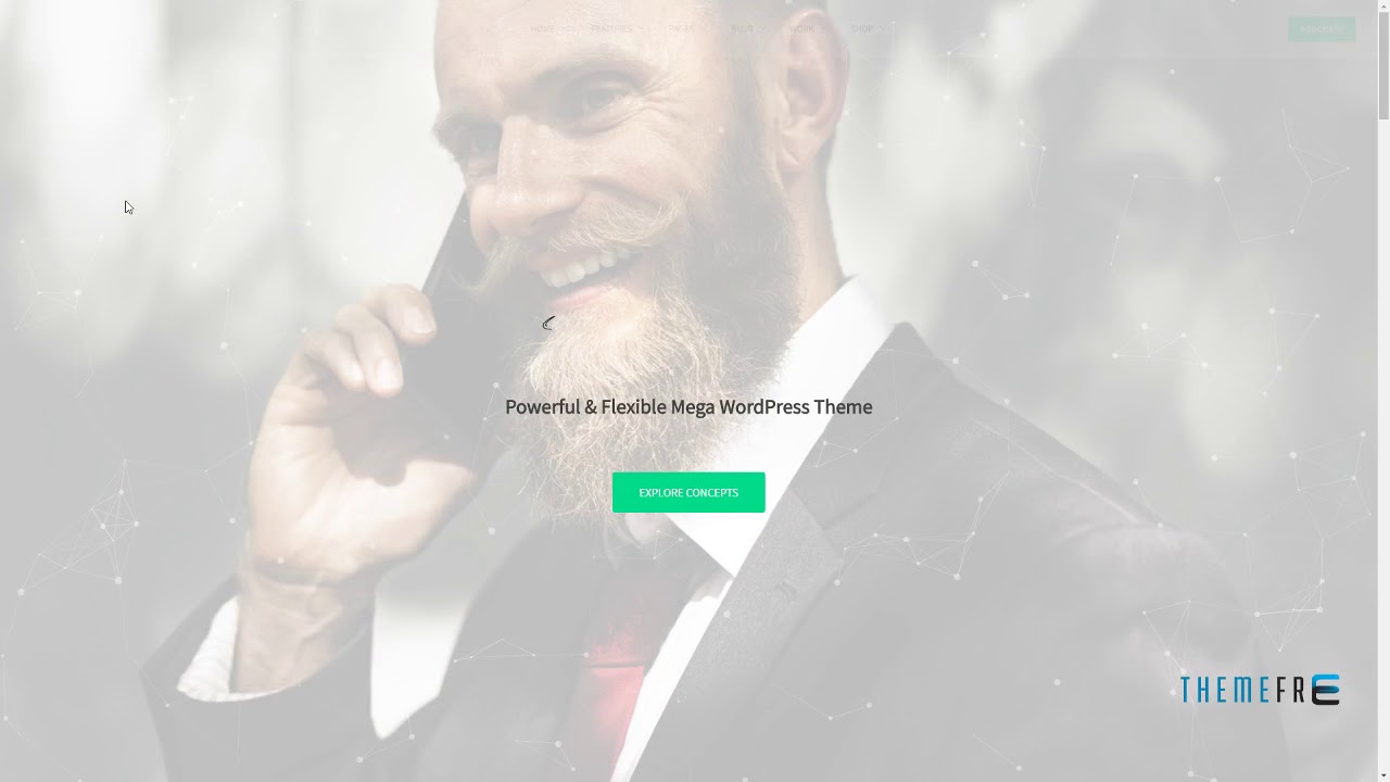 Protheme - Powerful and Flexible Mega WordPress Theme Geronimo
