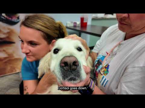 Volition Donates Nu.Q® Vet Cancer Tests to HOPE Animal-Assisted Crisis Response Dogs
