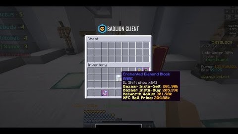 new hypixel skyblock dupe (not patched)