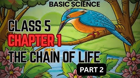 Class 5 Basic Science | Chapter 1 The Chain of Life | SCERT Textbook Malayalam Explanation | Part 2