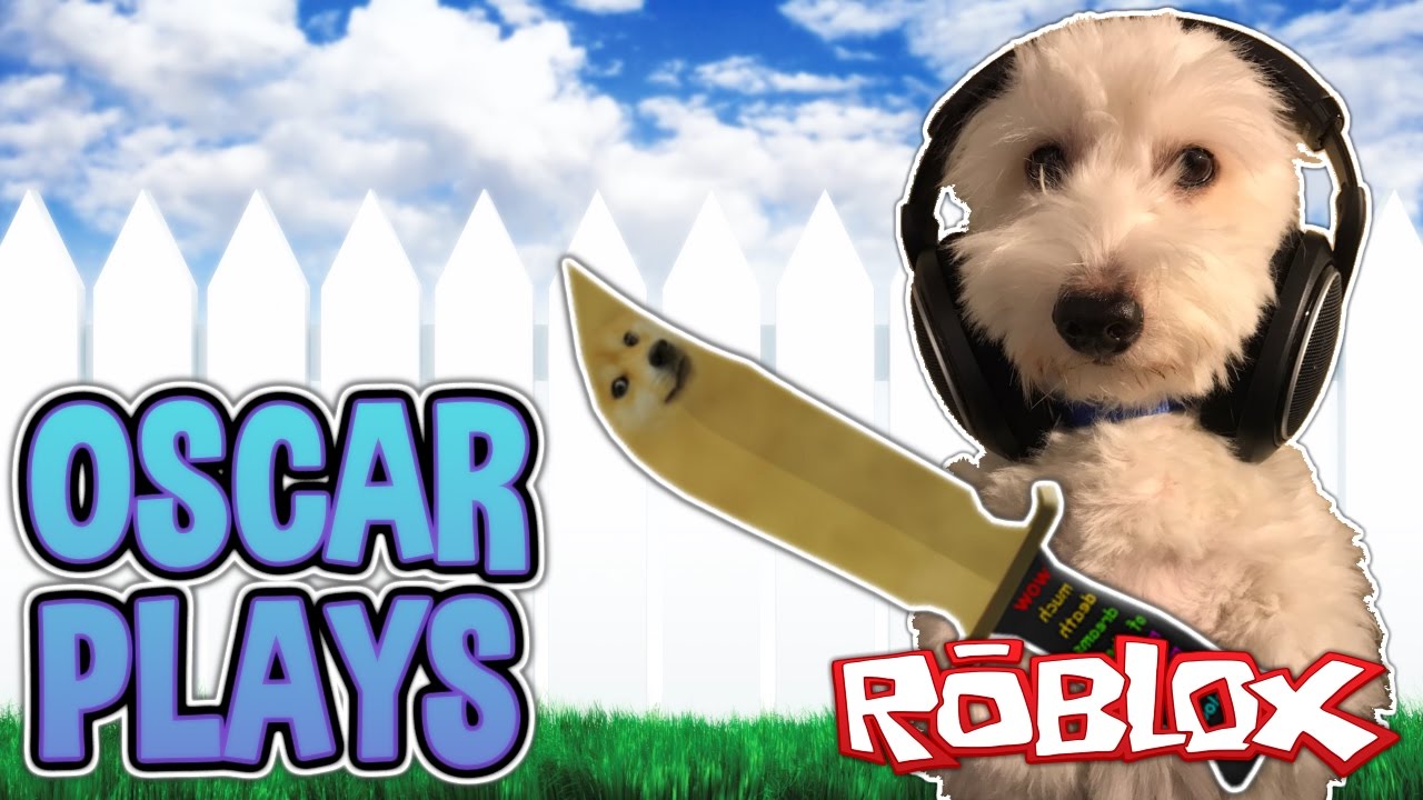 Dog Plays Roblox Murder Mystery 2 Youtube - dog roblox