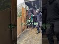 【2025.12.31】47番目 ホースレスト到着動画