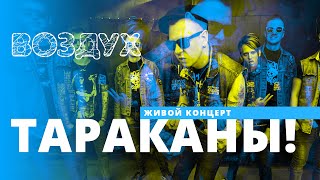 Тараканы! // ВОЗДУХ // НАШЕ