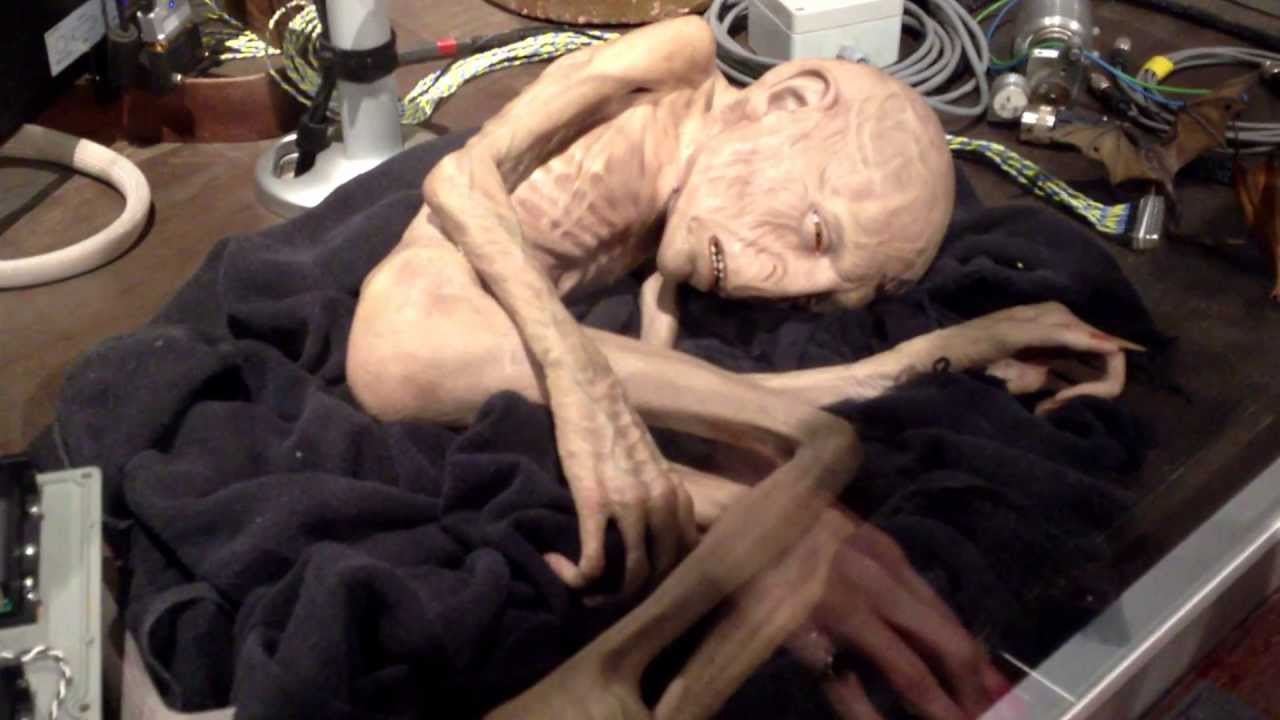 Baby Voldemort At Harry Potter Studio Tour Youtube