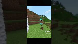 Cosas Sin Sentido En Minecraft 1