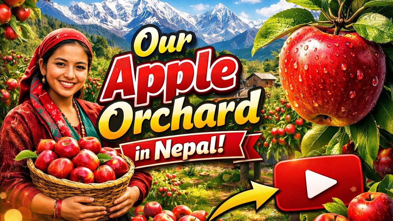 Our Apple Orchard in Nepal | Raw Happiness