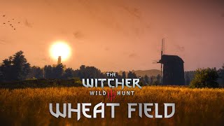 The Witcher 3 - Wheat Field AMBIENCE │ Bird Chirping, Crickets & Wind Sounds │ ASMR