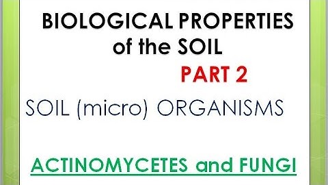 Agri Board Exam: Biological Properties of the Soil (Part 2)