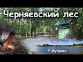 Поездка в Черняевский лес и на Реку Мулянка