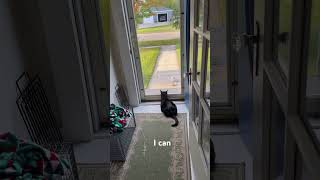 Bermain dalam jangka panjang 🫠 screenshot 2