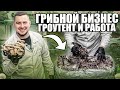 ГРИБНОЙ БИЗНЕС | ГРОУТЕНТ И РАБОТА