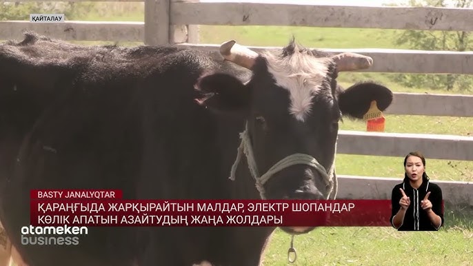 Екі жетілген лесбиянки сперму Еркек пениса эротикасының фотосуреттері
