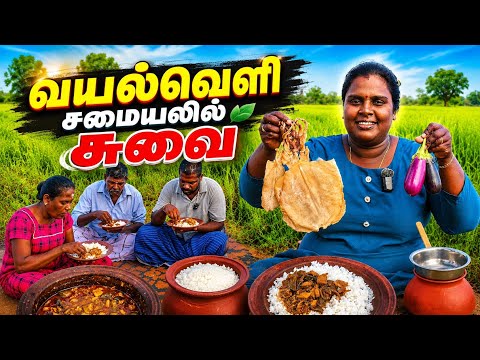 கணவாய் கருவாடும் கத்தரிக்காயும் வயல்வெளியில் | Our Village lifestyle ♥️ | vanni vlog 