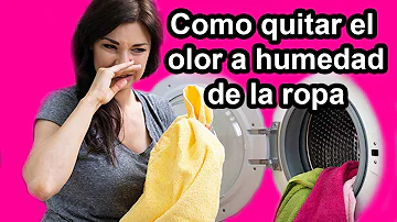 ¿Qué causa el olor a humedad en la ropa?