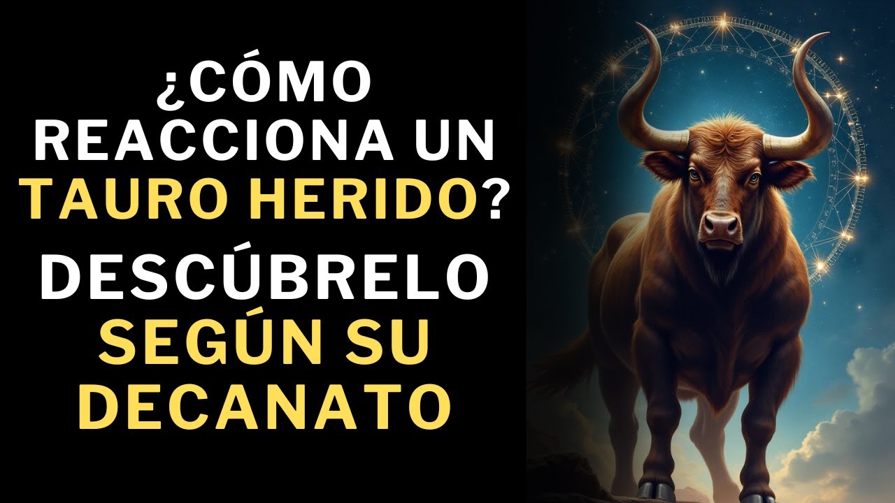 Así se venga un Tauro herido y traicionado...¿o no lo hace?🤔. Descúbrelo según tu decanato.