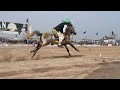 Top 10 horse riders neza bazi abrar qutbia clubtoba tek sing