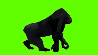 Gorilla Walking On The Green Screen