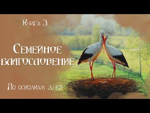 🌺СЕМЕЙНОЕ БЛАГОСЛОВЕНИЕ🌺  Новый христианский рассказ. Истории из жизни.