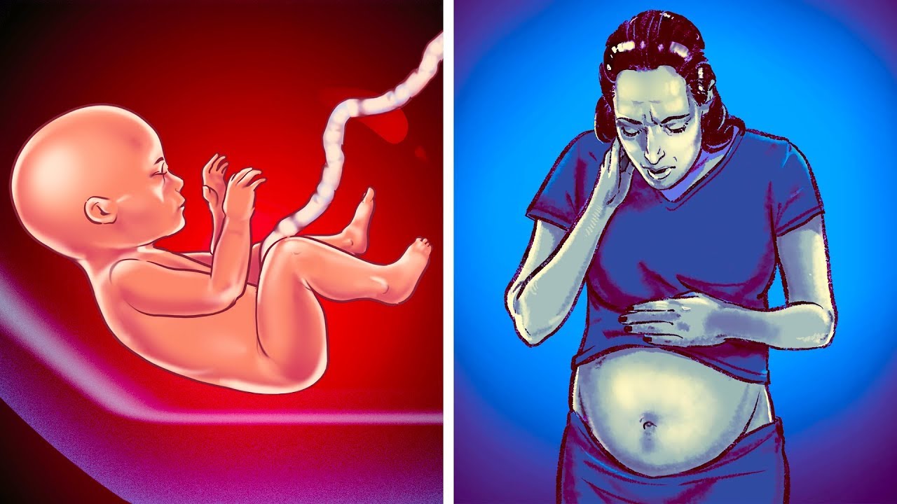 Les Scientifiques ont Prouvé que la Grossesse Peut Être Contagieuse