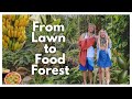 We turned our yard into a food forest during quarantine  epic garden tour