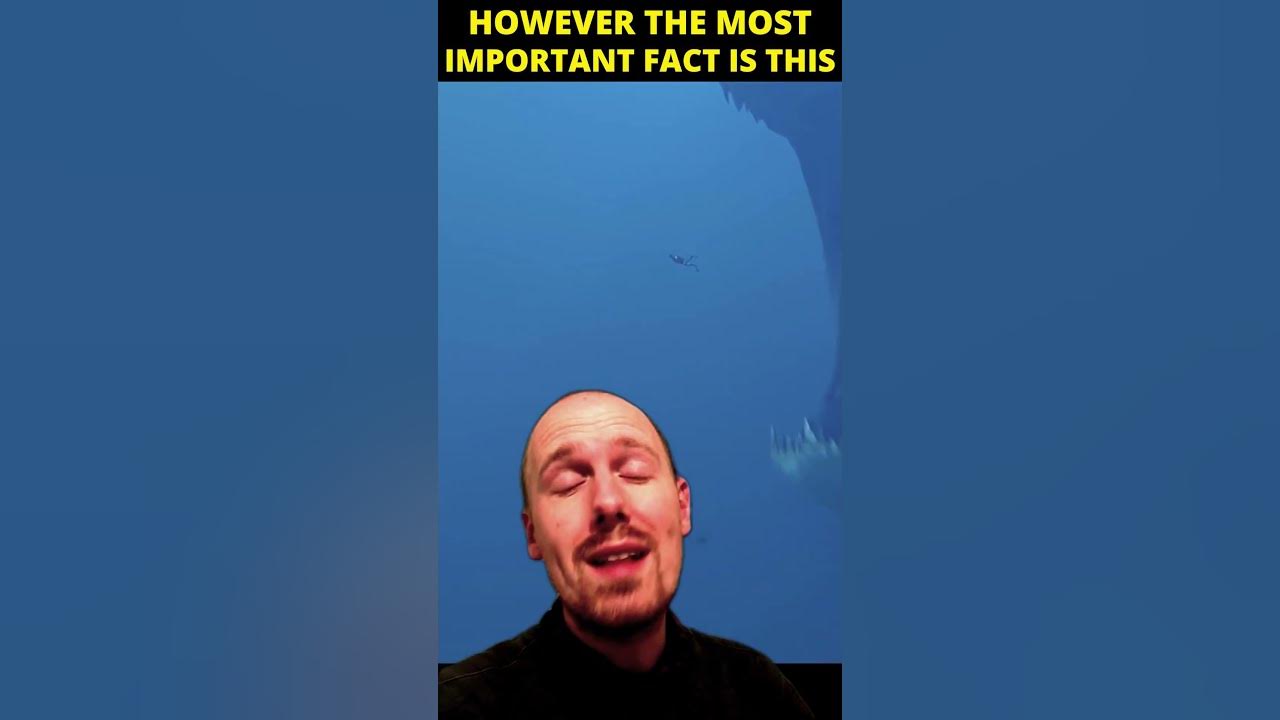 What type of fish swallowed jonah youtube