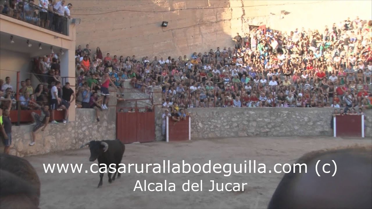 Encierro en Alcalá del Júcar fiestas 2013