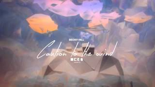 BECKY HILL - CAUTION TO THE WIND (C41 REMIX)