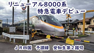 【電車】リニューアル   8000系 特急電車　Before after 団体臨時列車でデビュー