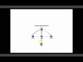 SAP Workflow Class 02